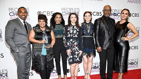 Greys Anatomy Cast - Staffel 14 - Foto: Kevork Djansezian / Getty Images
