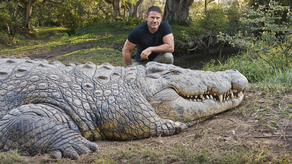 krokodilen auf der spur - mit steve backshall