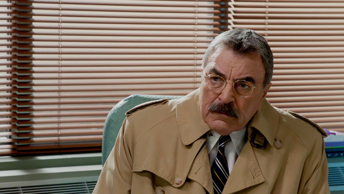 blue bloods - crime scene new york