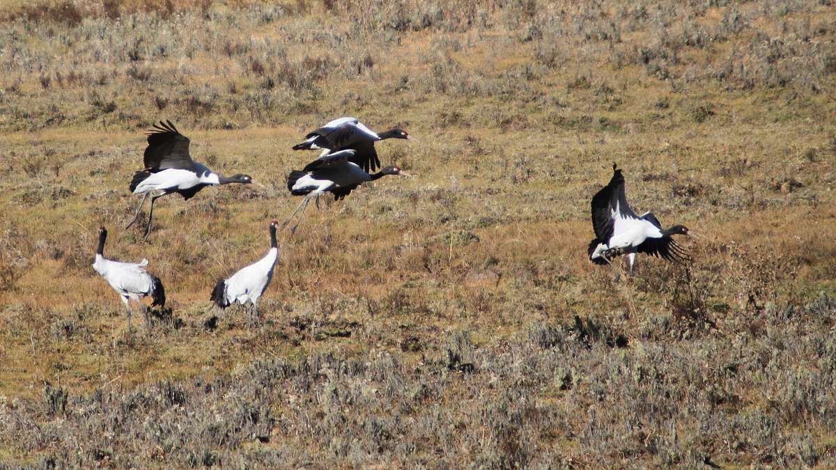 abenteuer wildnis