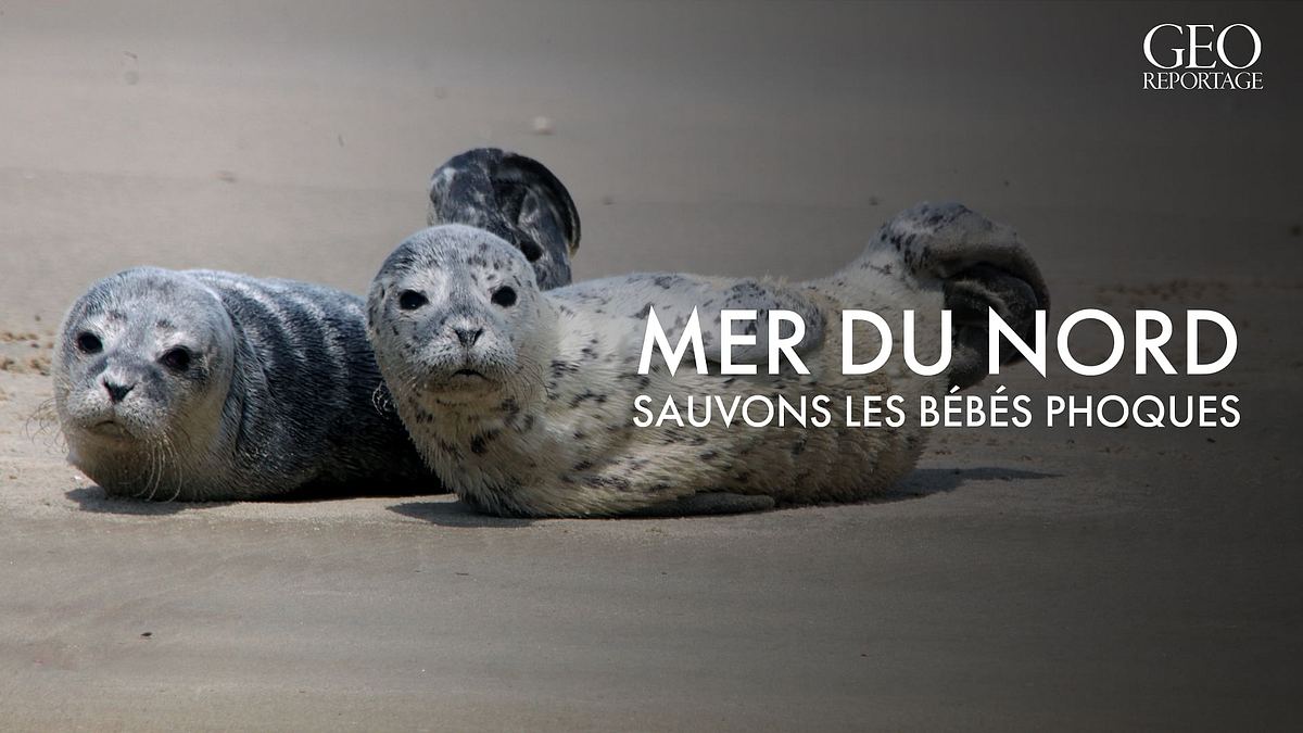 geo reportage