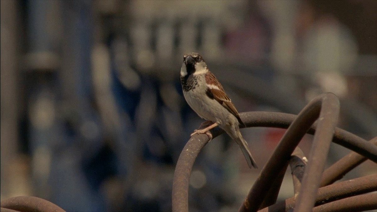 abenteuer wildnis