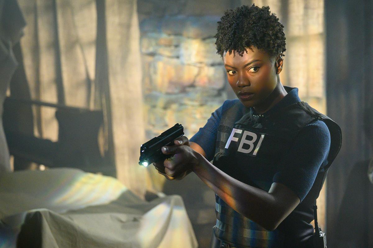 FBI: Special Crime Unit fbi: special crime unit