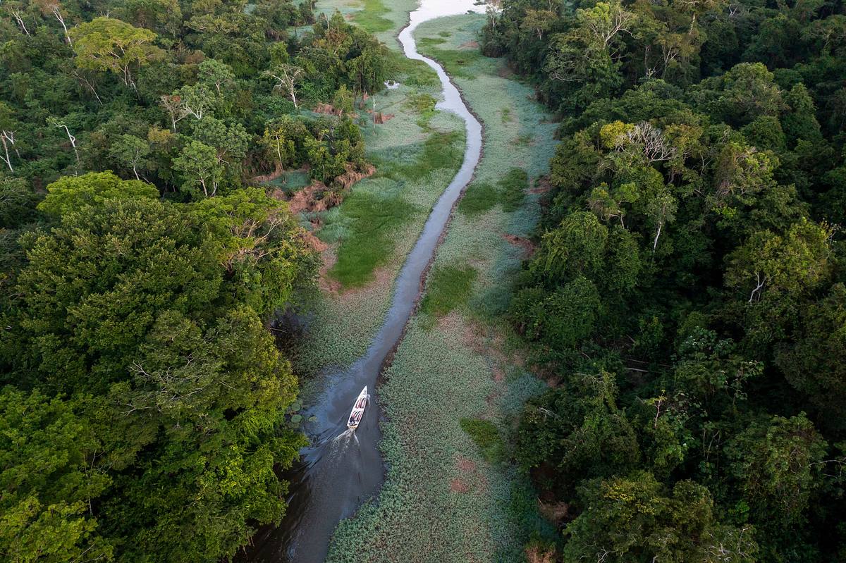 Expedition Amazonas expedition amazonas