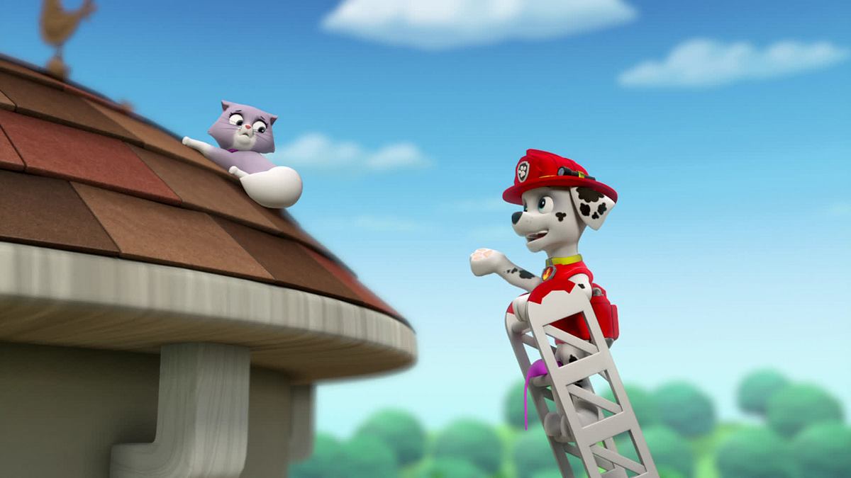 Paw Patrol - Helfer auf vier Pfoten paw patrol - helfer auf vier pfoten