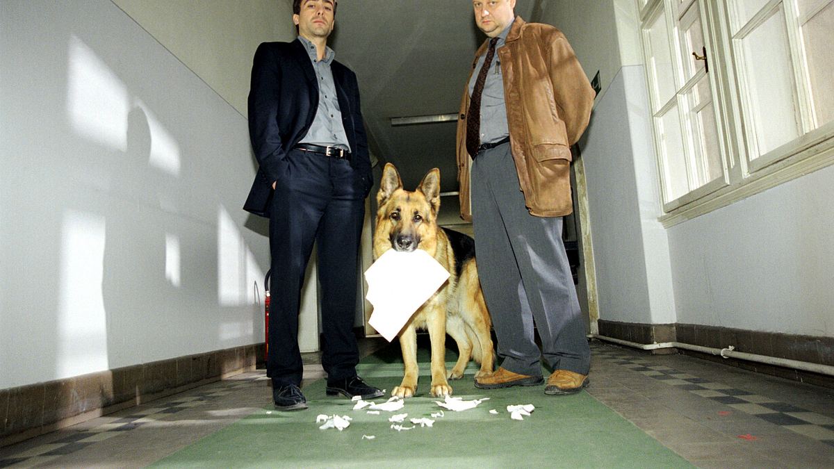kommissar rex