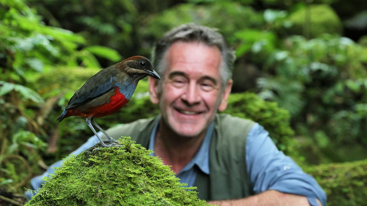die wilden philippinen