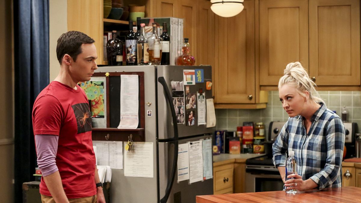 the big bang theory