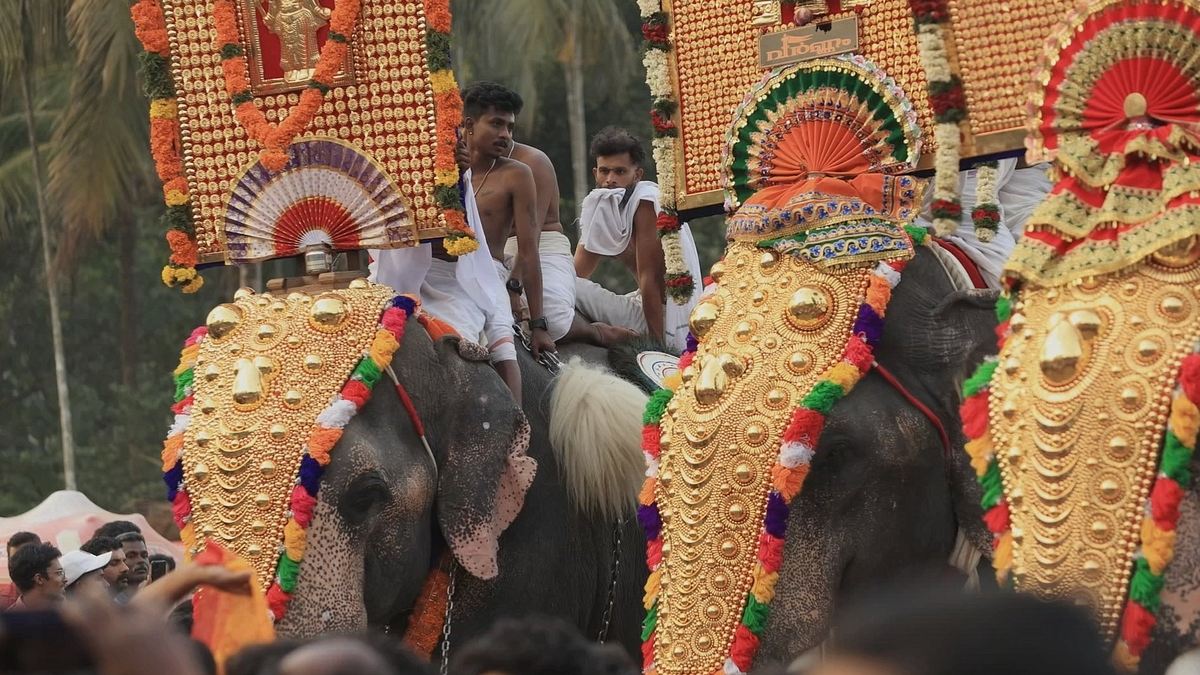 kerala - indiens tropischer garten