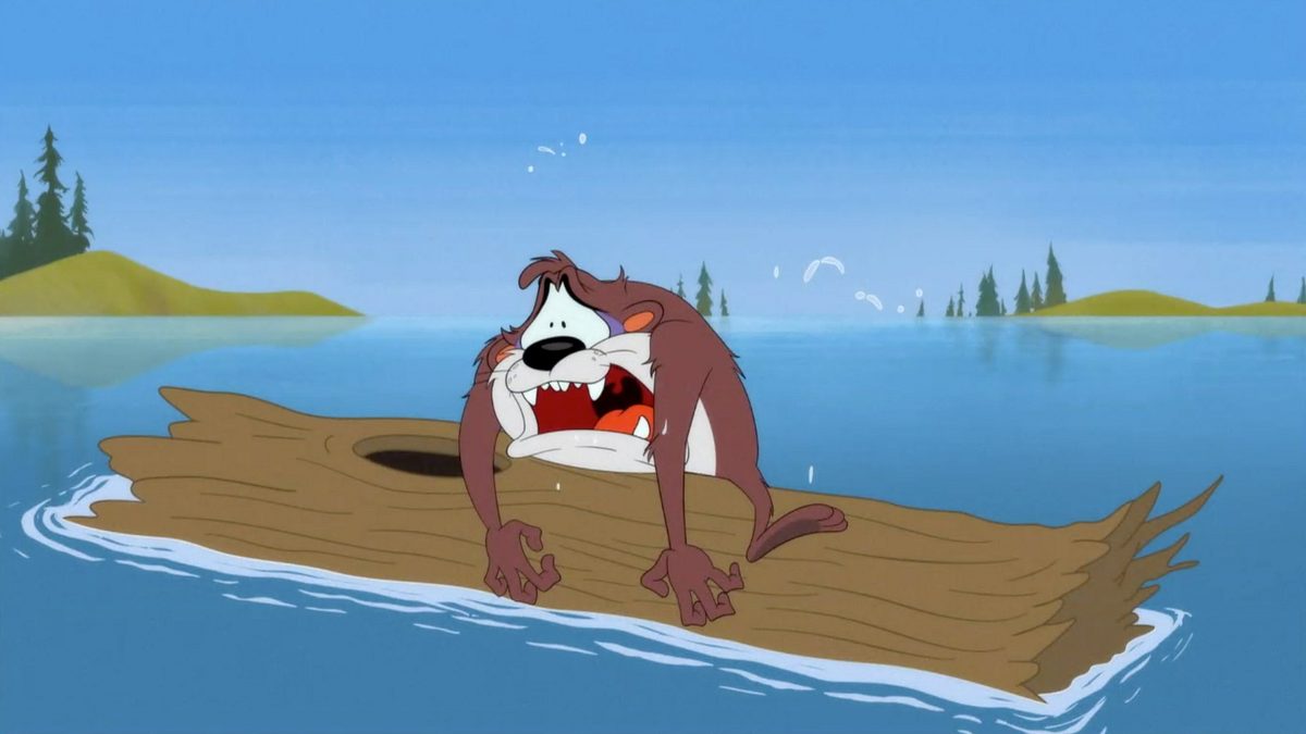 looney tunes cartoons