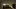Video Platzhalter Video Platzhalter