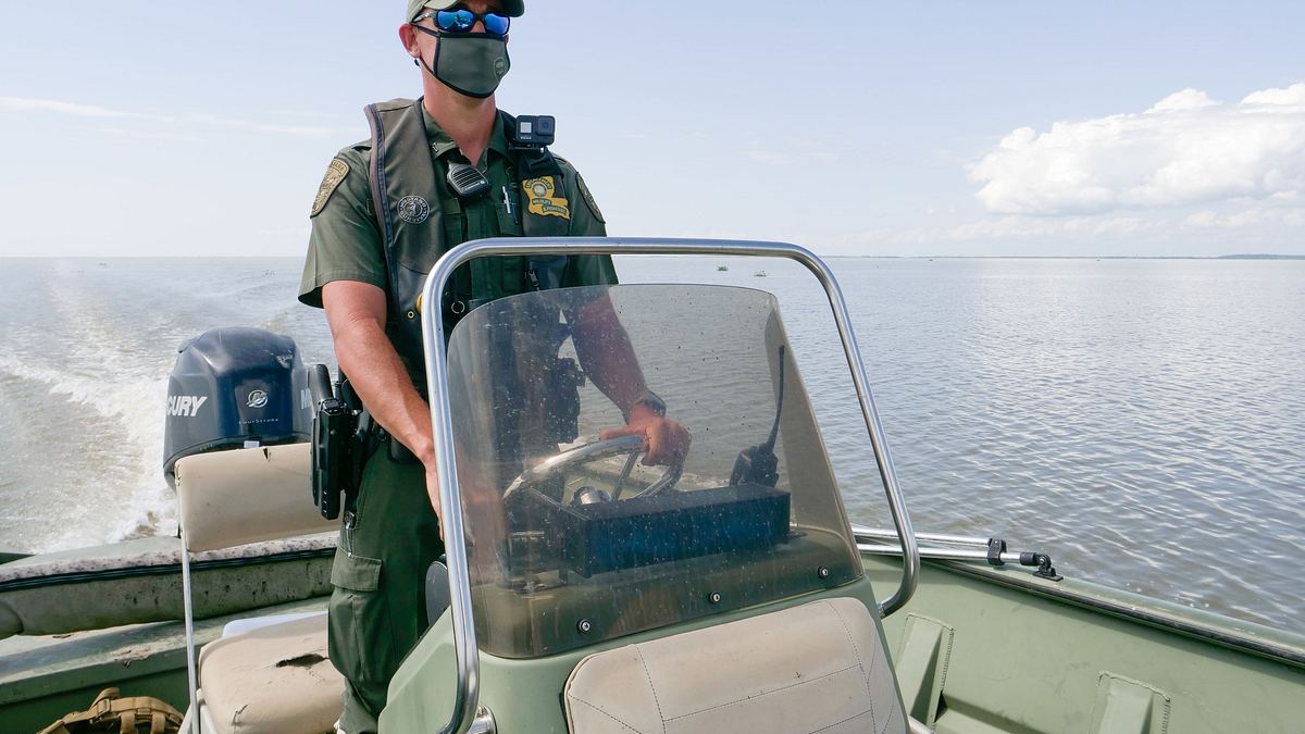louisiana law - die wildlife-ranger