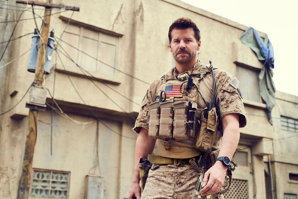SEAL Team seal team