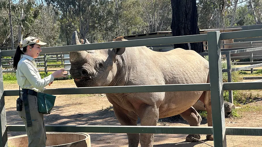 taronga zoo hautnah