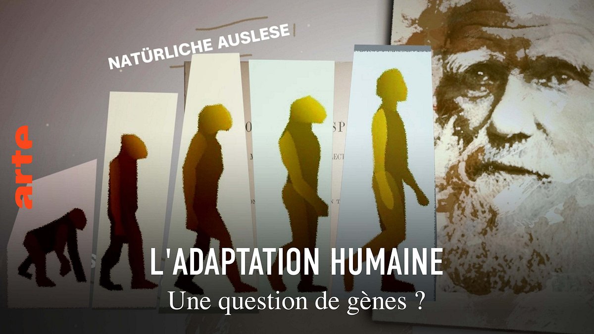 wie gut sind unsere gene? - das wunder menschlicher anpassung