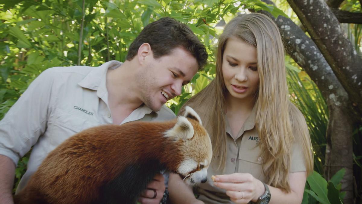 die irwins - crocodile hunter family
