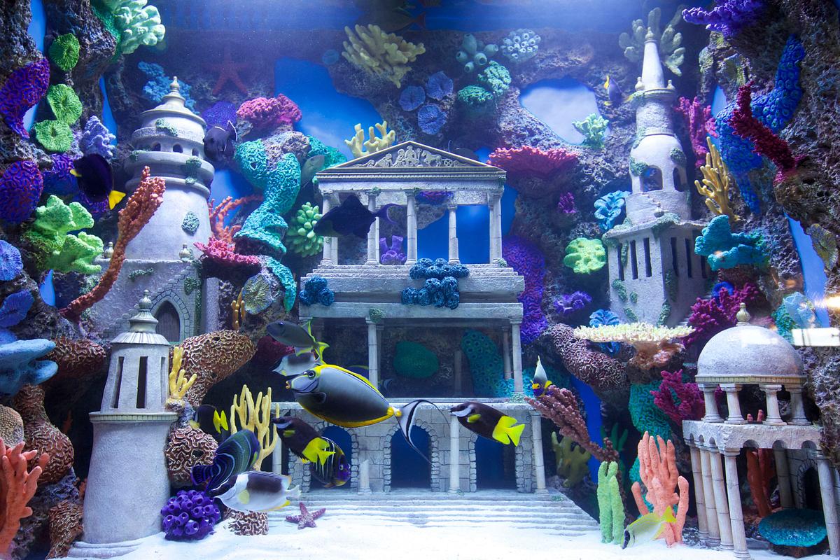 die aquarium-profis
