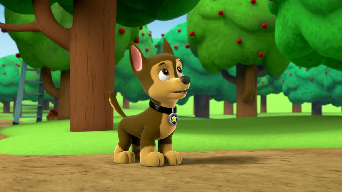 paw patrol - helfer auf vier pfoten
