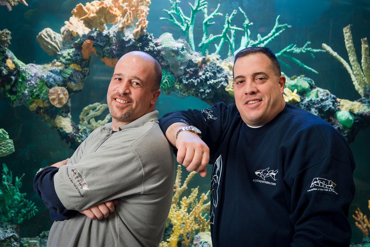 Die Aquarium-Profis die aquarium-profis