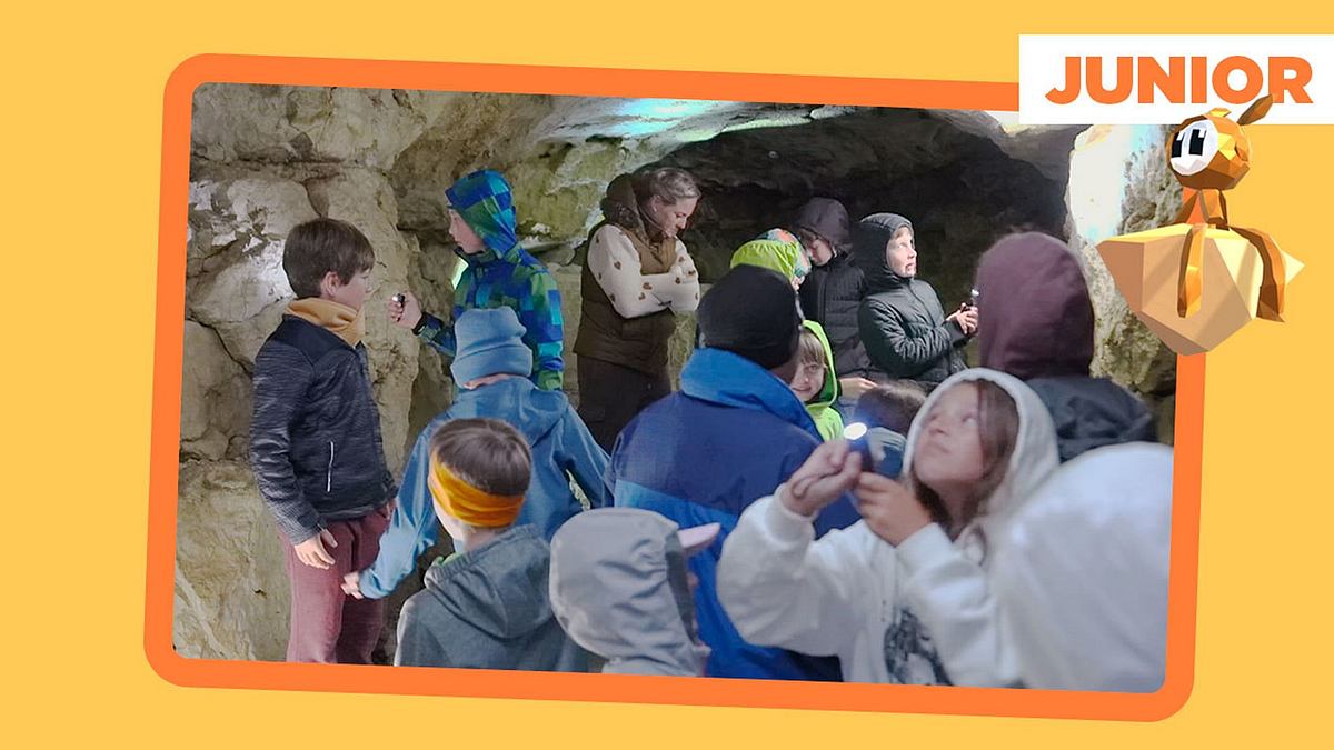 Arte Junior Magazin arte junior magazin