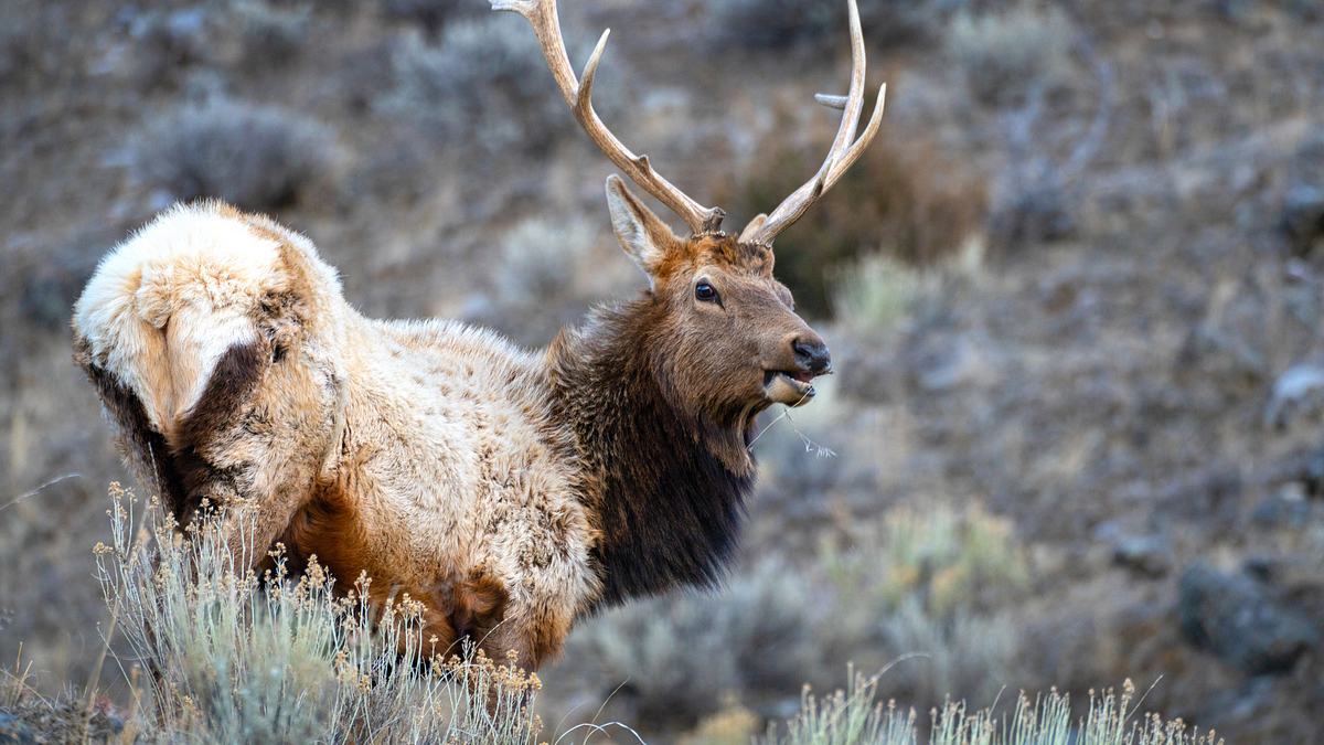 amerikas nationalparks