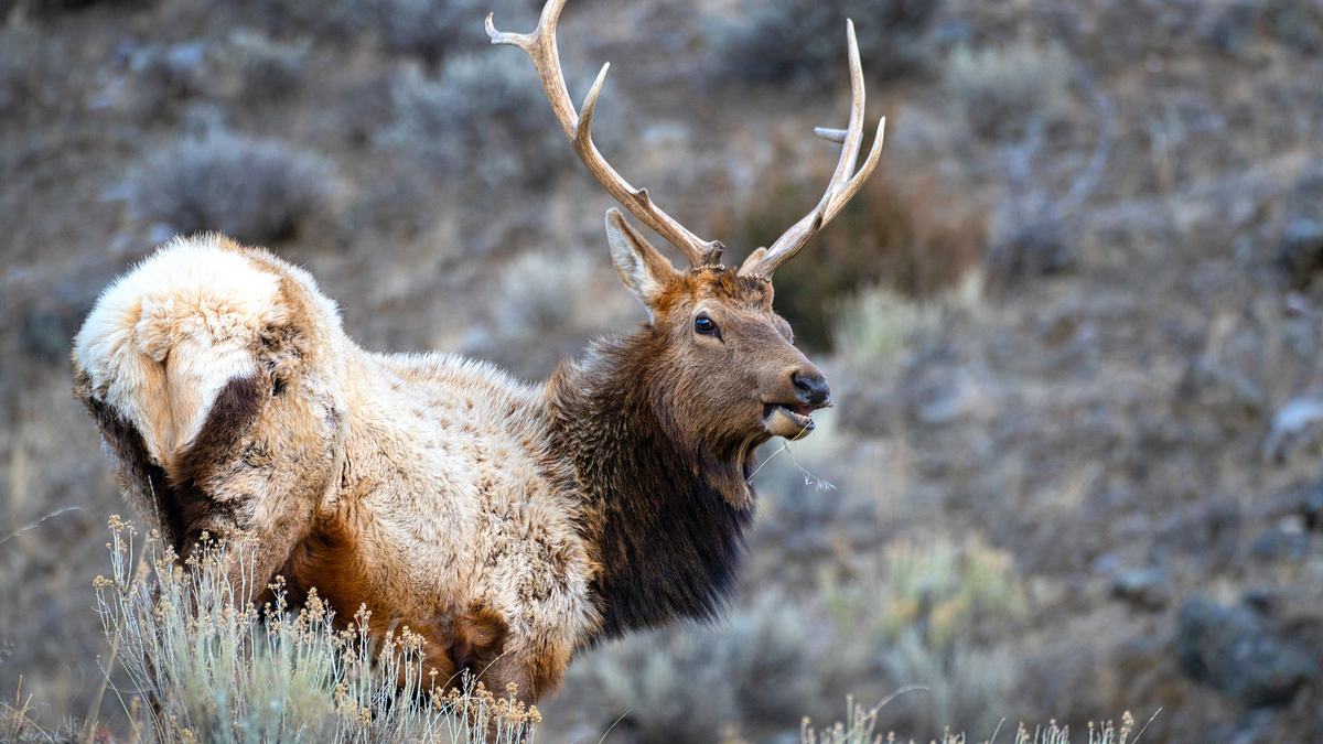 amerikas nationalparks