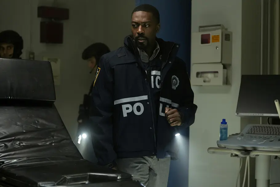 Law & Order law & order