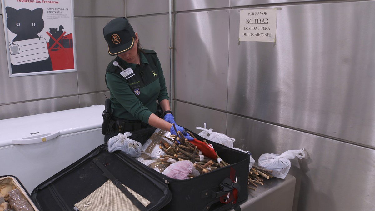 border control - spaniens grenzschützer