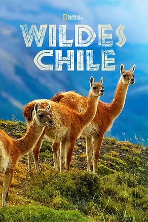 Wildes Chile - Foto: TMDB