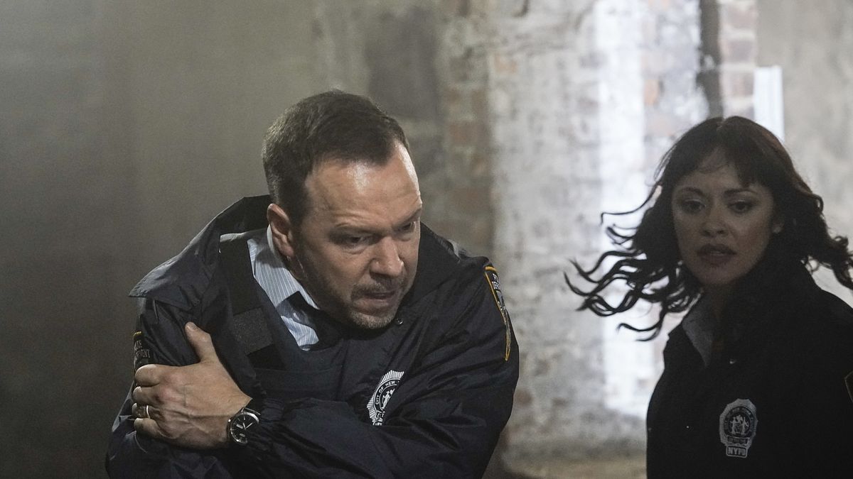 blue bloods - crime scene new york