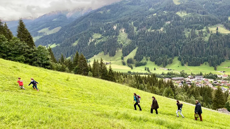 heimat österreich