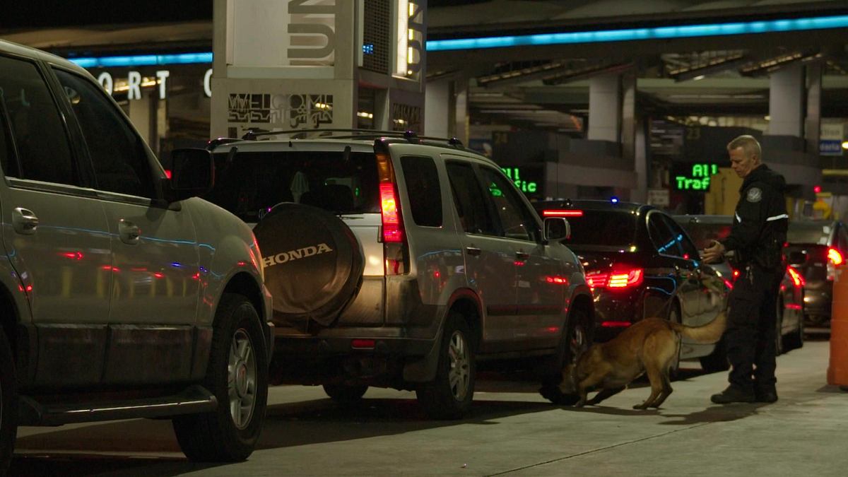 flughafen new york - kampf den schmugglern