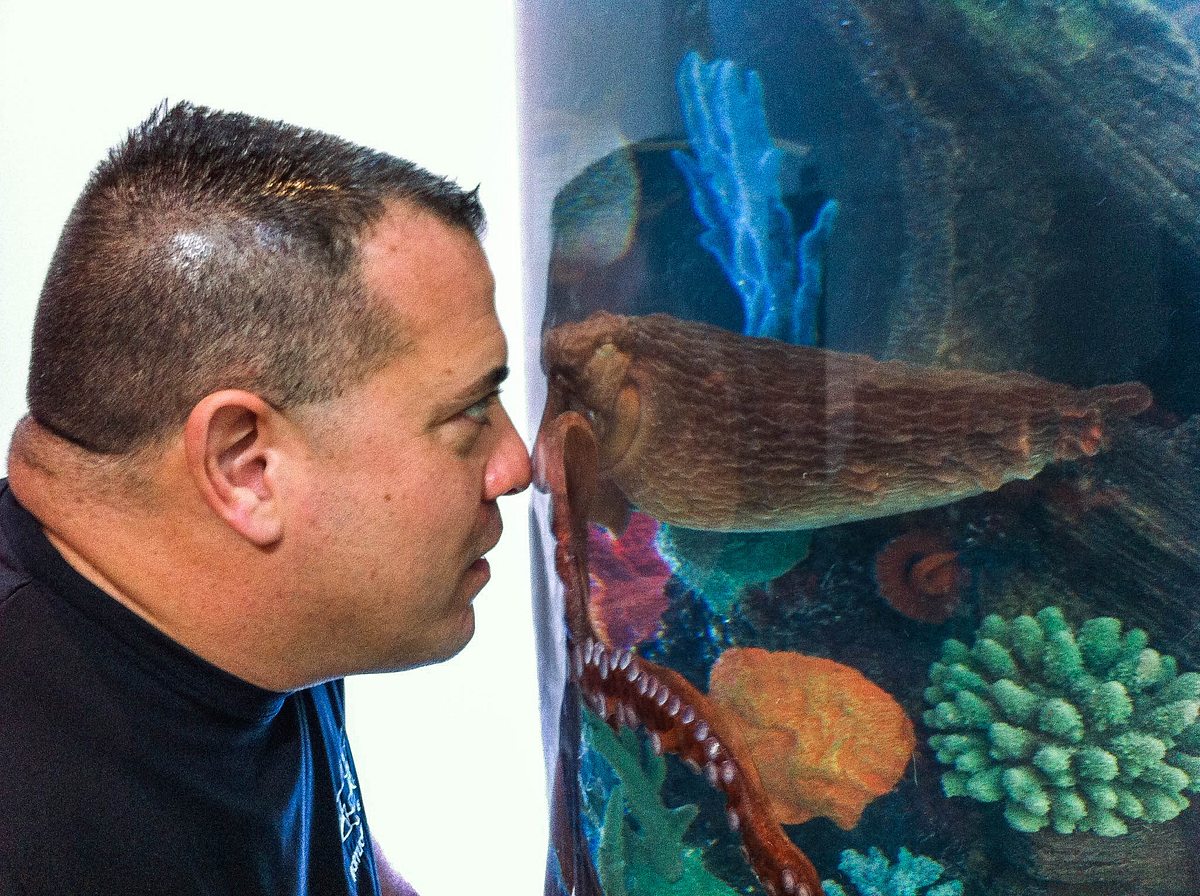 Die Aquarium-Profis die aquarium-profis