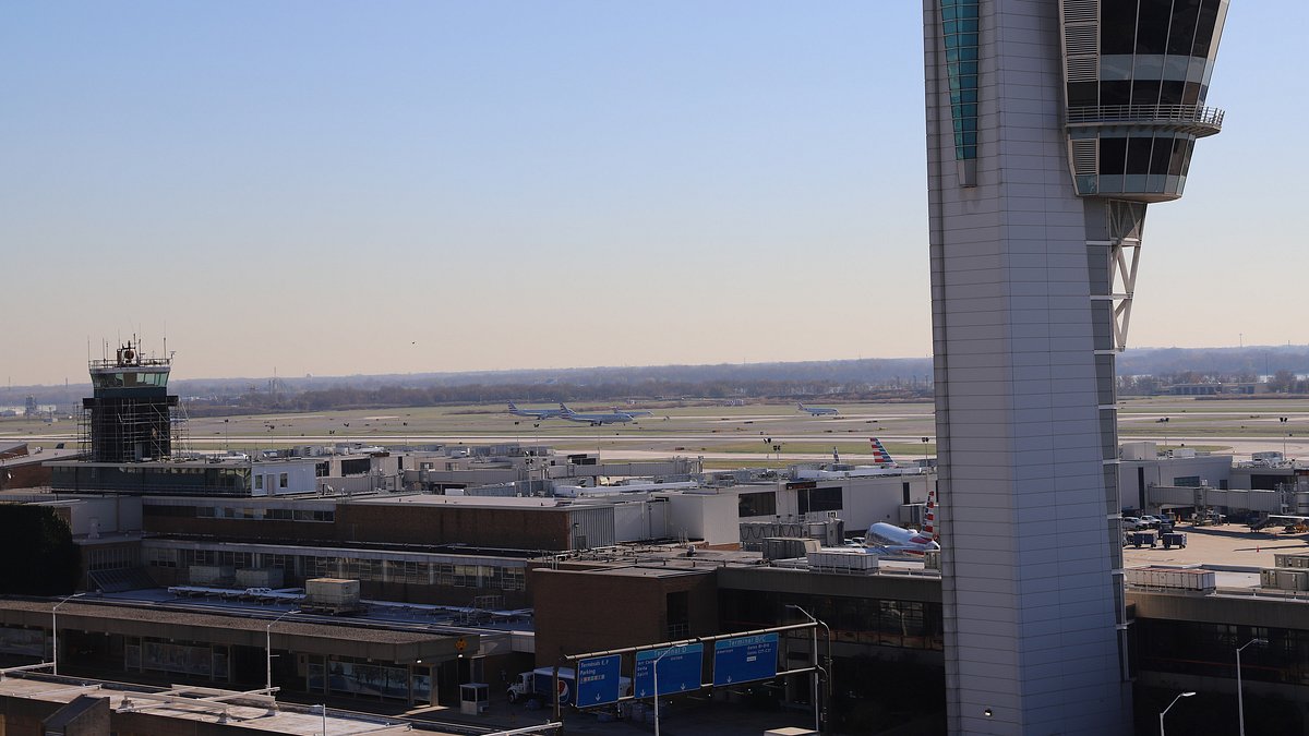 flughafen new york - kampf den schmugglern