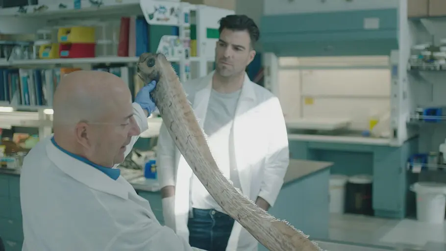 Einfach rätselhaft - mit Zachary Quinto einfach rätselhaft - mit zachary quinto