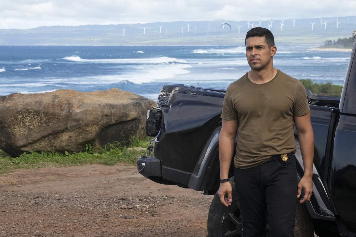 Navy CIS: Hawaii navy cis: hawaii