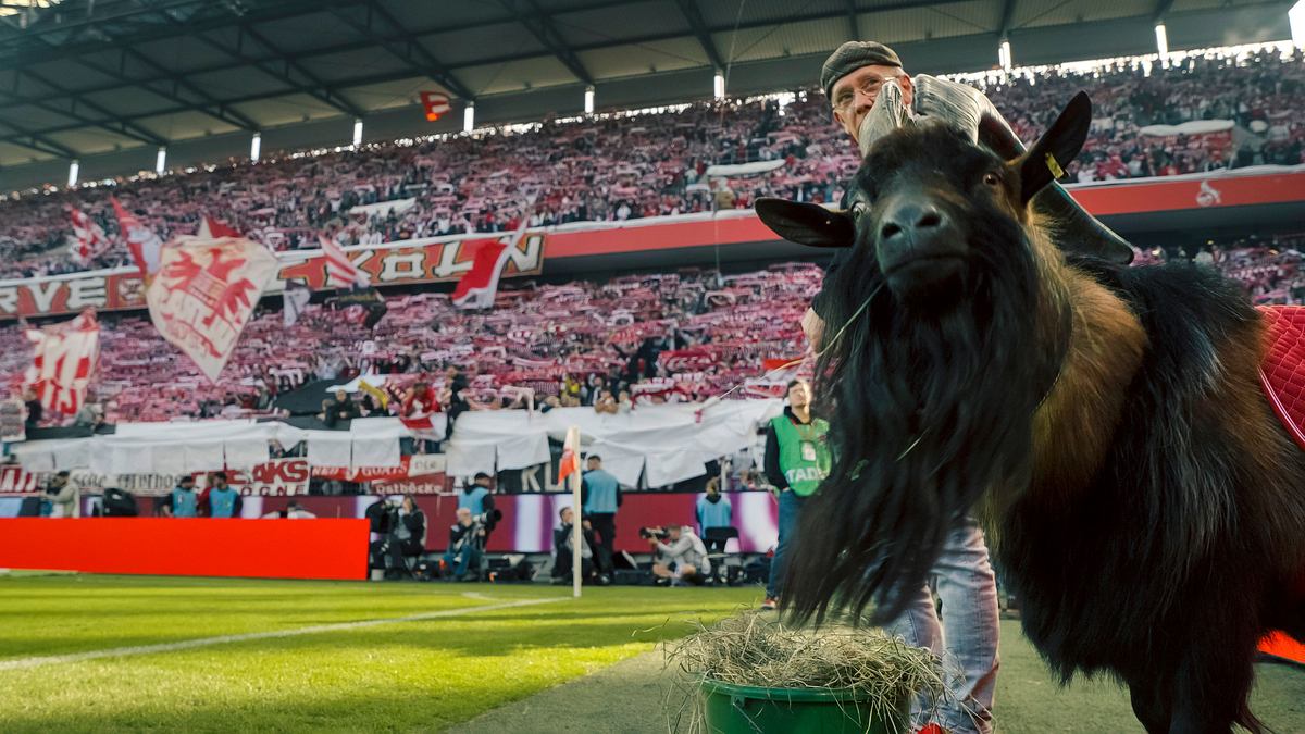 meine heimat. mein verein.