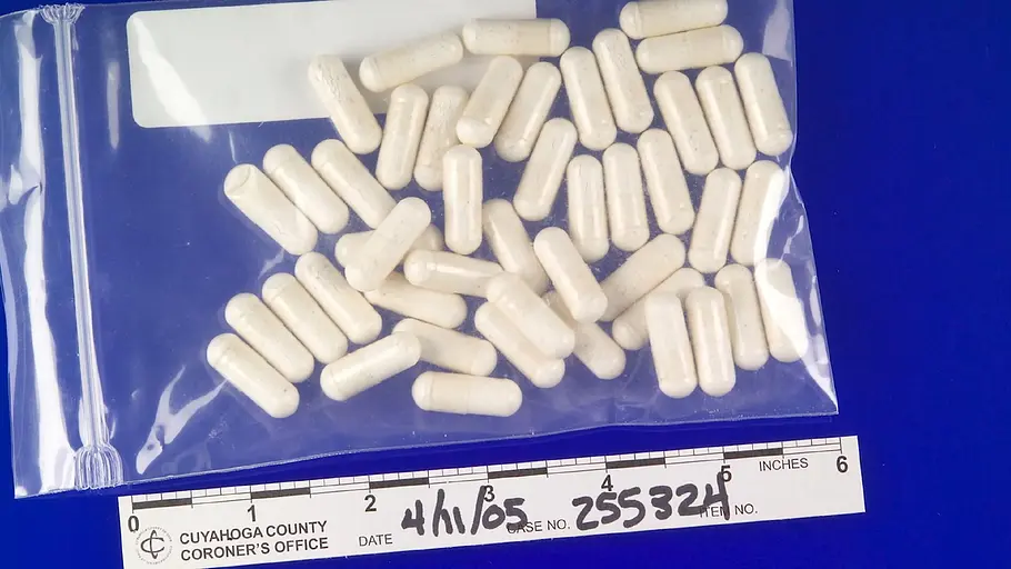 medical detectives - geheimnisse der gerichtsmedizin