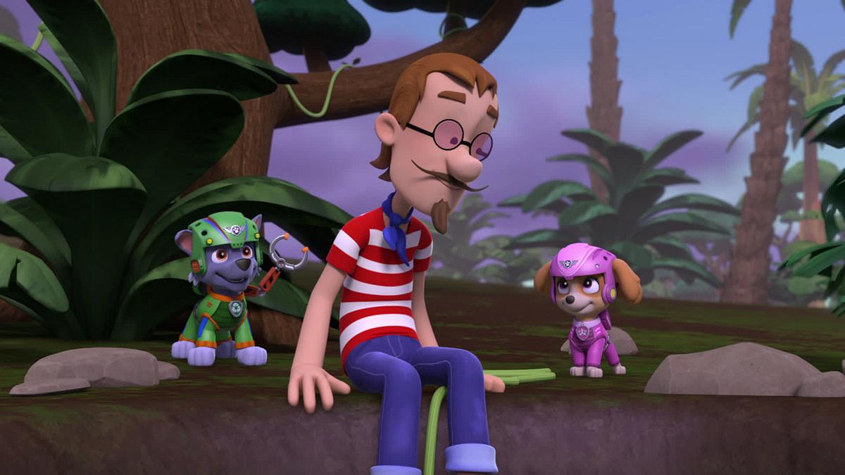 paw patrol - helfer auf vier pfoten