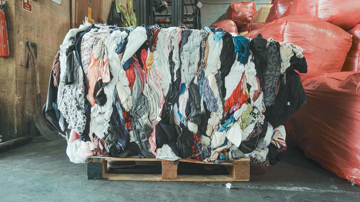 inside shein - der hohe preis der billigmode
