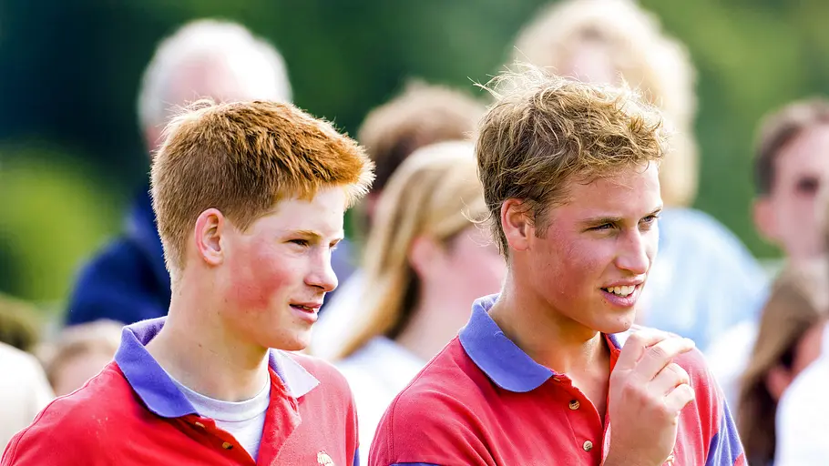 harry vs. william - der royale bruderzwist