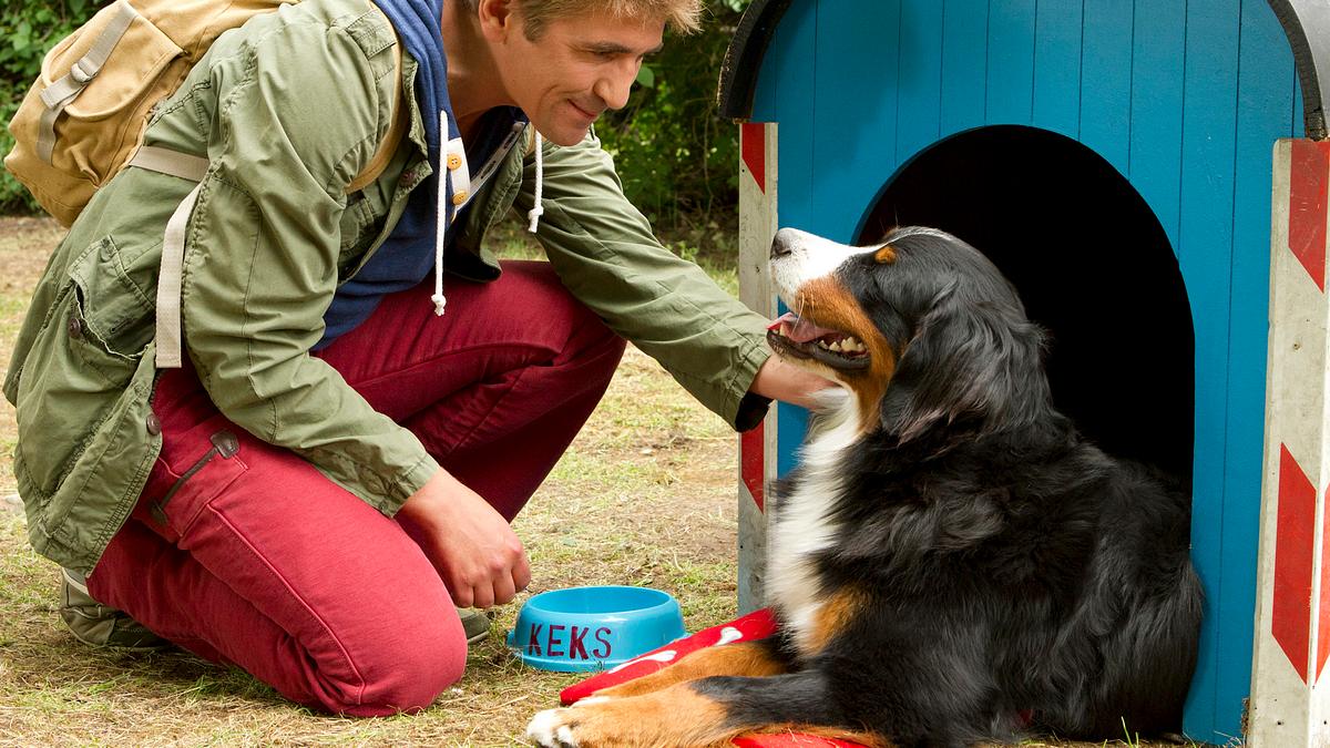löwenzähnchen - eine schnüffelnase auf entdeckungstour