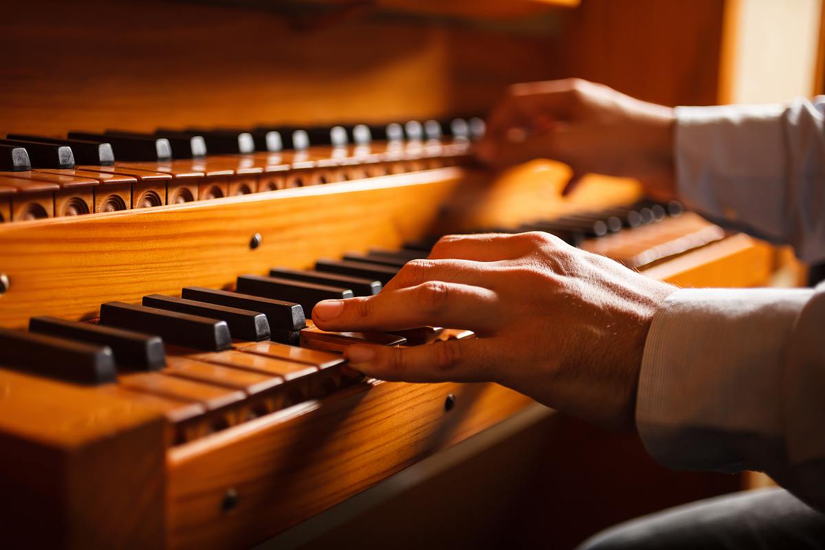 in the organ's stomach