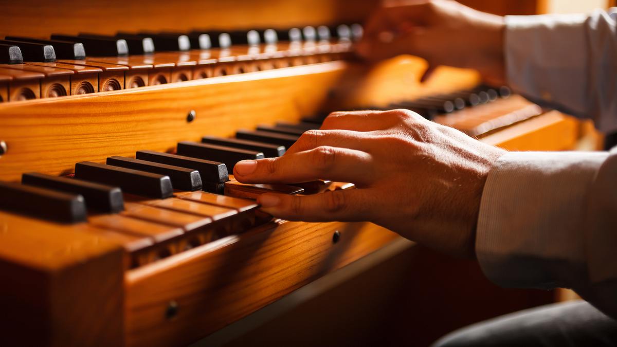 in the organ's stomach