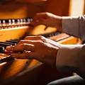 In the Organ's Stomach Thumbnail