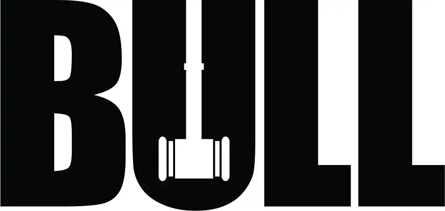 Bull bull