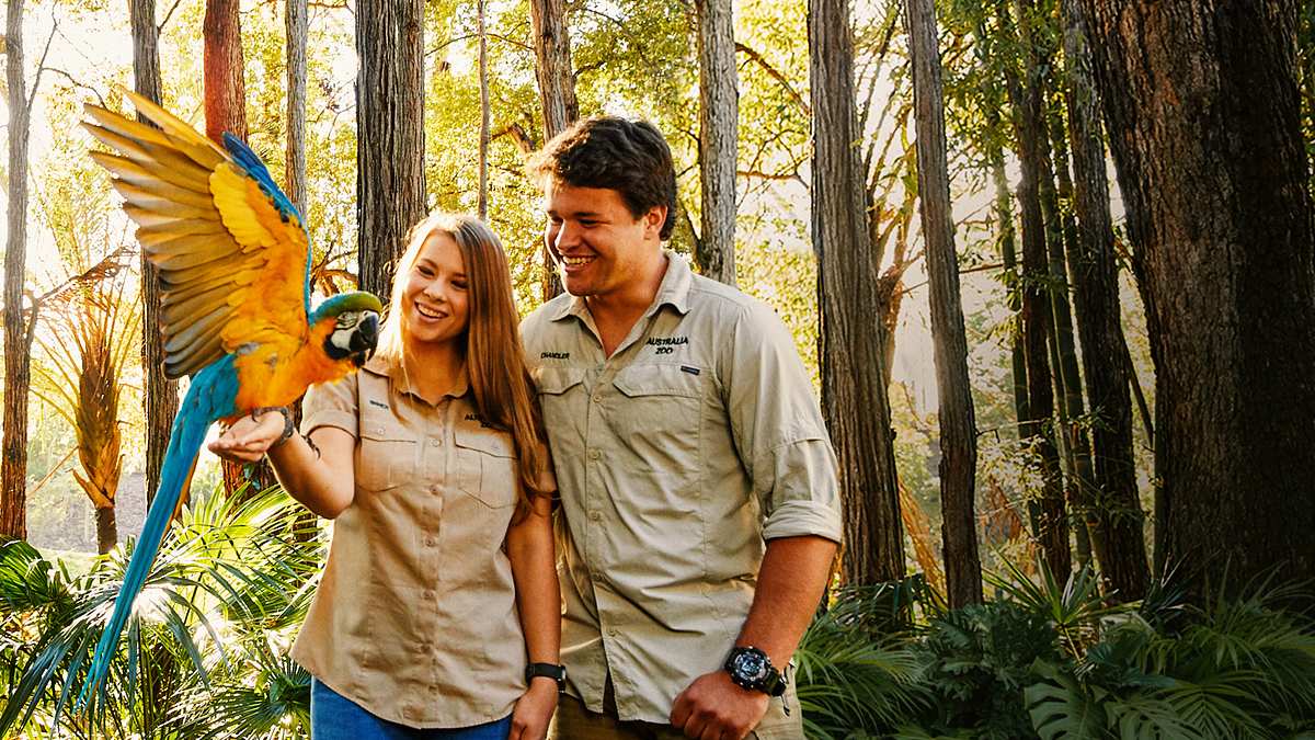 die irwins - crocodile hunter family