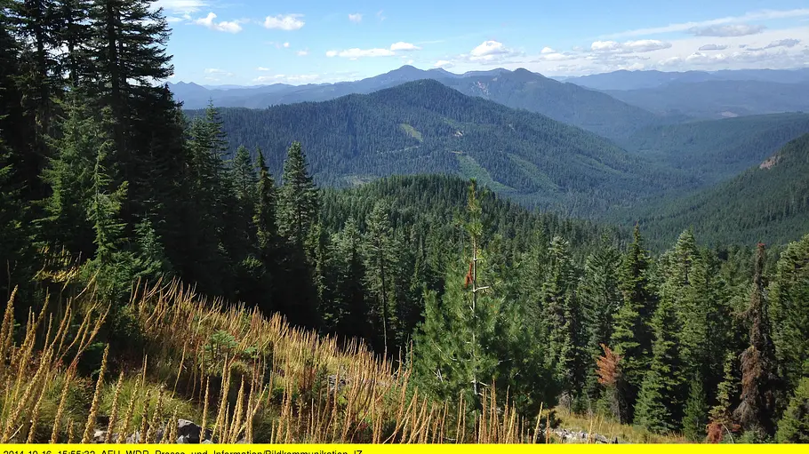 Der wilde Westen zu Fuß - Abenteuer auf dem Pacific Crest Trail der wilde westen zu fuß - abenteuer auf dem pacific crest trail