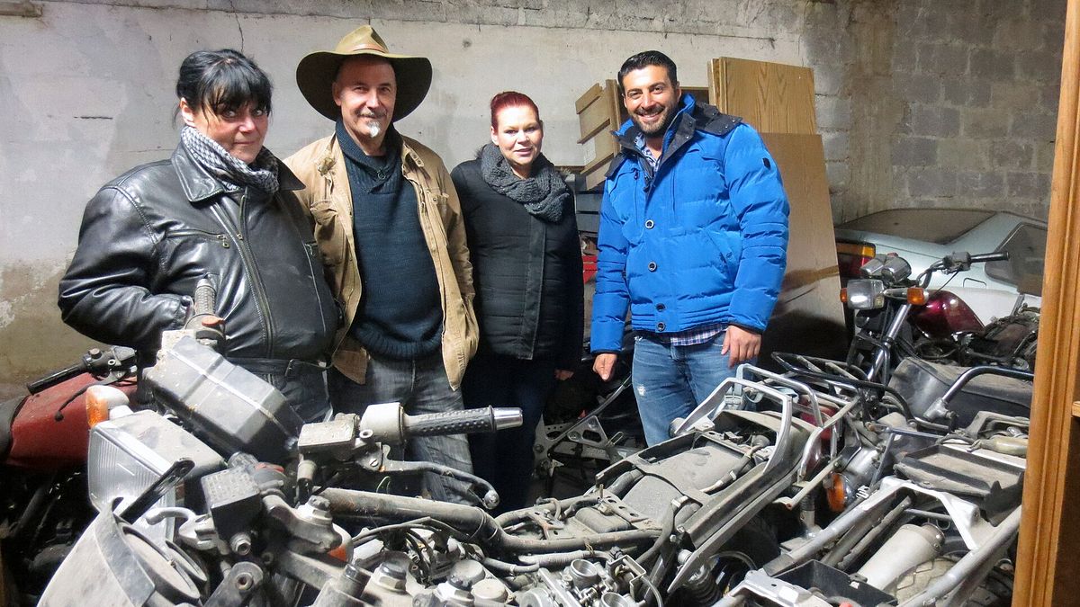 Der Trödeltrupp - Das Geld liegt im Keller der trödeltrupp - das geld liegt im keller
