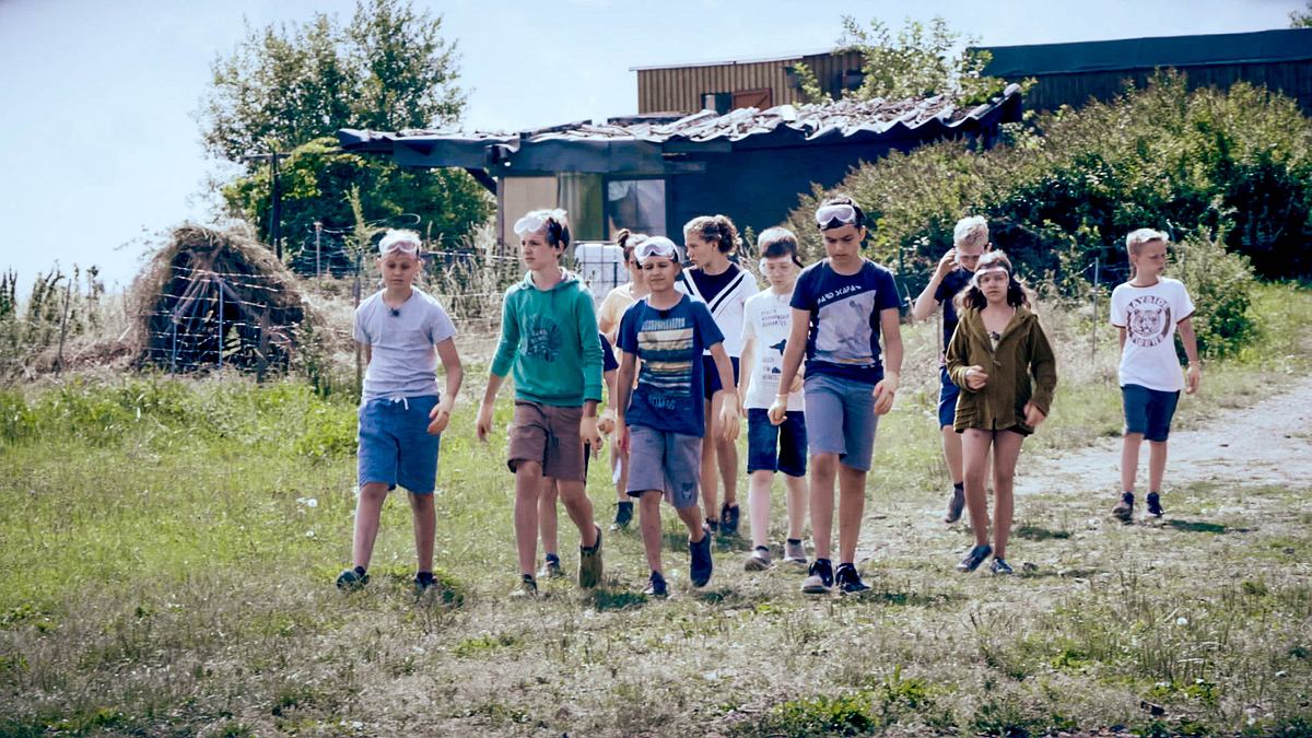 sommercamp - back to the roots